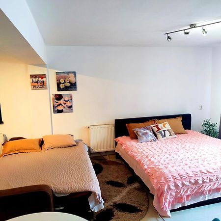 Studioul De Vis Apartment Brasov Exterior photo