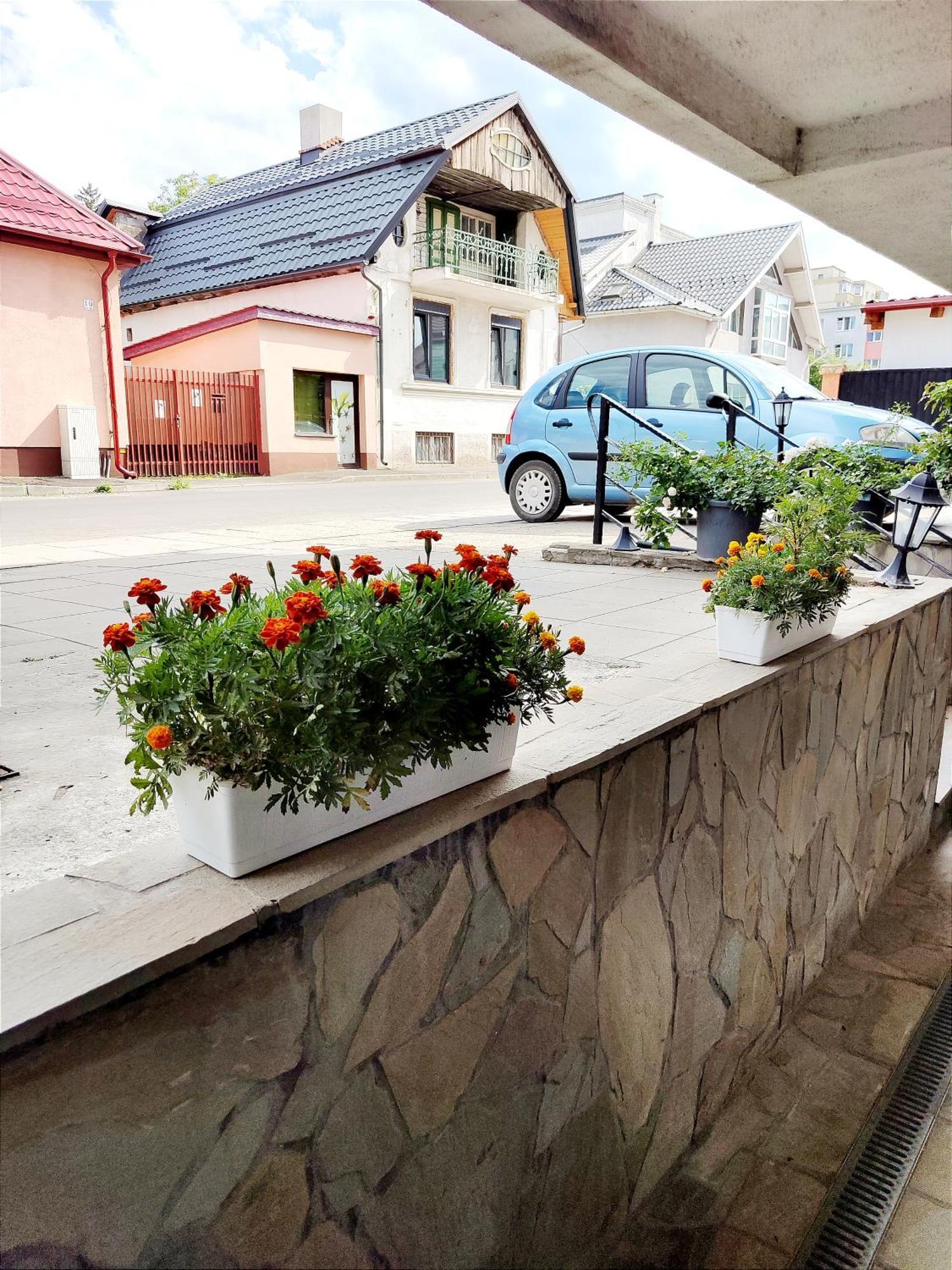 Studioul De Vis Apartment Brasov Exterior photo