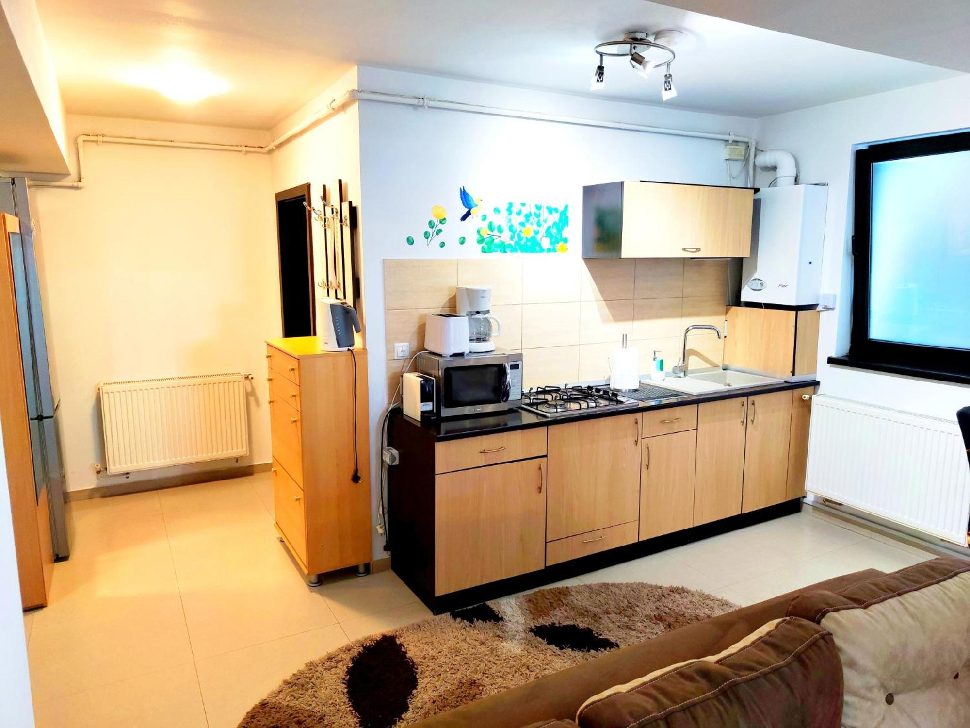 Studioul De Vis Apartment Brasov Exterior photo